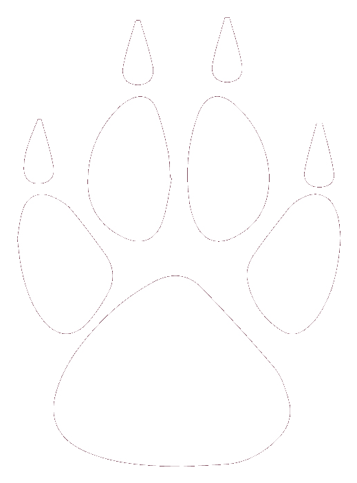 LoTech paw mark